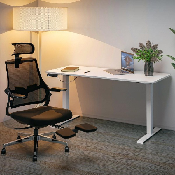 Фото - Стіл з електрорегулюванням висоти Mealux PowerDesk Duo White (EVO-242 Duo W/W)